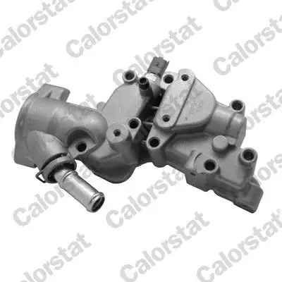 CALORSTAT VERNET WF0126M Su Flanşı 1336Y8 resmi