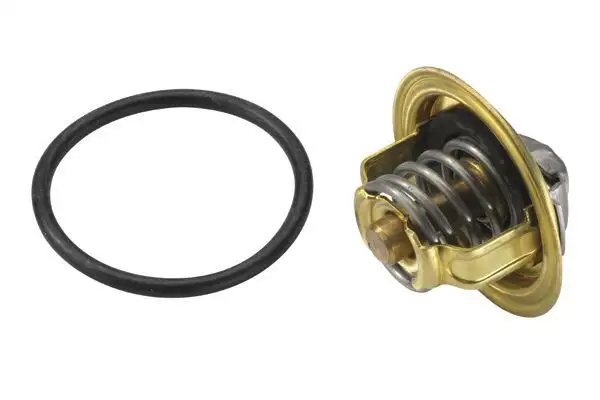 WAHLER 3472.87D Termostat 03G121113 resmi