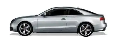 Audi A5 Hava Filtresi 2.0 Tdi (2012-2014)