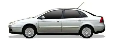 Citroen C5 Hava Filtresi 2.0 Hdi (2005-2007)