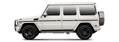 Mercedes G350 W463 Hava Filtresi (2019-2021)