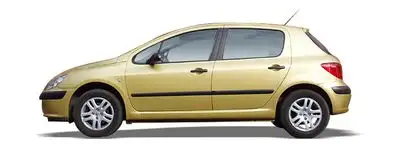 Peugeot 307 Hava Filtresi 1.4 (2005-2008)