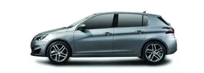 Peugeot 308 Hava Filtresi 1.2 (2014-2024)